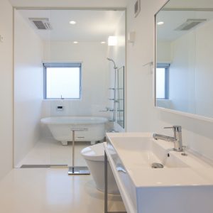 互い違いの内壁/homeHR 洗面室から浴室を見る