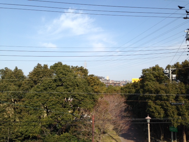 あけましておめでとうございます