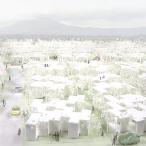 incomplete house 街区として夢想する