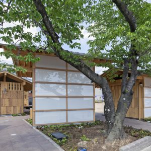 亀崎公園の再編 既設の桜の木を避けるように建築が配される