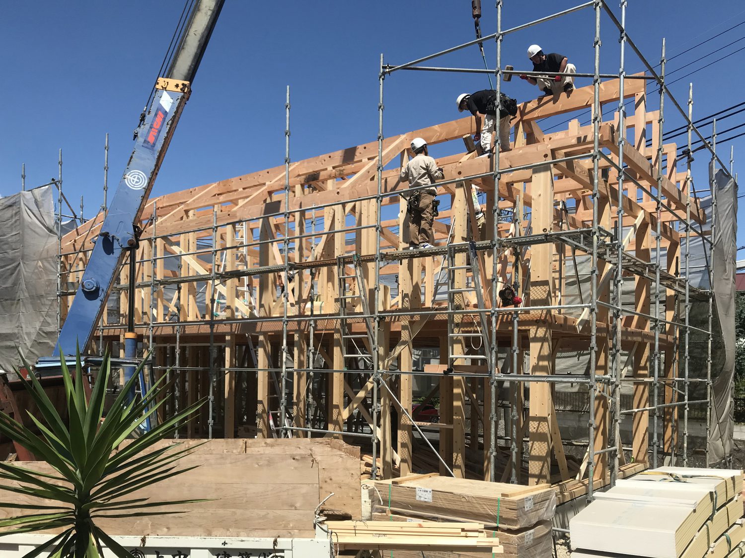 知多市内の住宅　建前